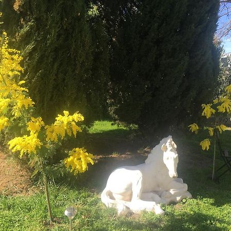 B&B Mas Les Lecques Beaucaire  Exteriér fotografie