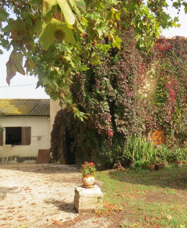 B&B Mas Les Lecques Beaucaire  Exteriér fotografie