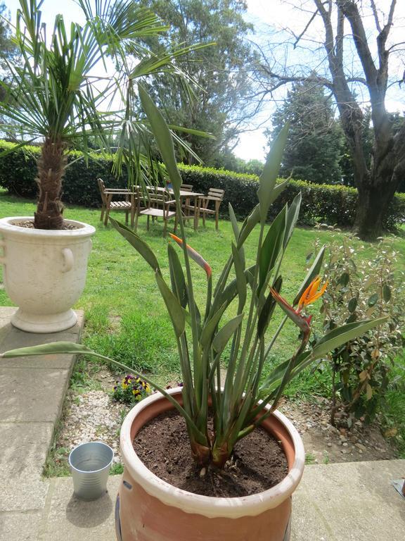 B&B Mas Les Lecques Beaucaire  Exteriér fotografie
