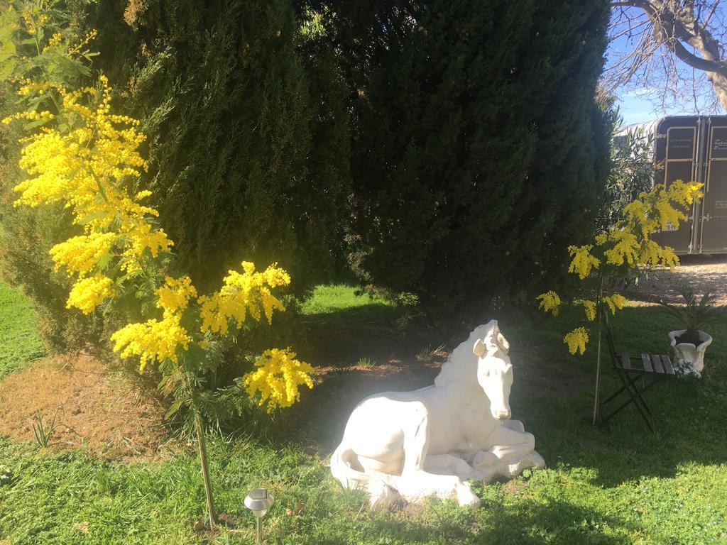 B&B Mas Les Lecques Beaucaire  Exteriér fotografie